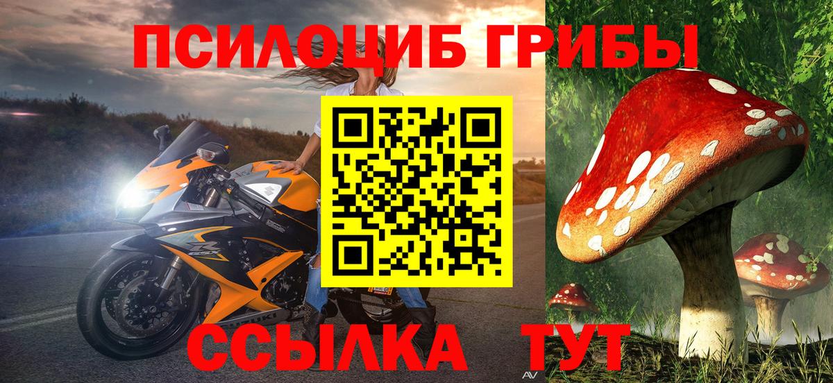 Псилоцибиновые грибы GOLDEN TEACHER Кирово-Чепецк